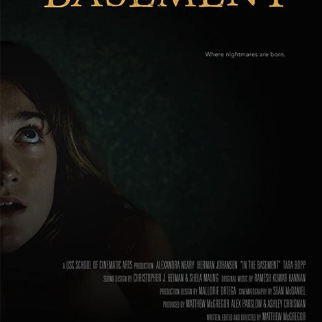 In the Basement
