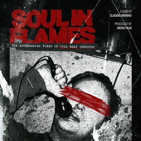 Soul in Flames
