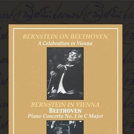 Beethoven's Birthday: A Celebration in Vienna with Leonard Bernstein