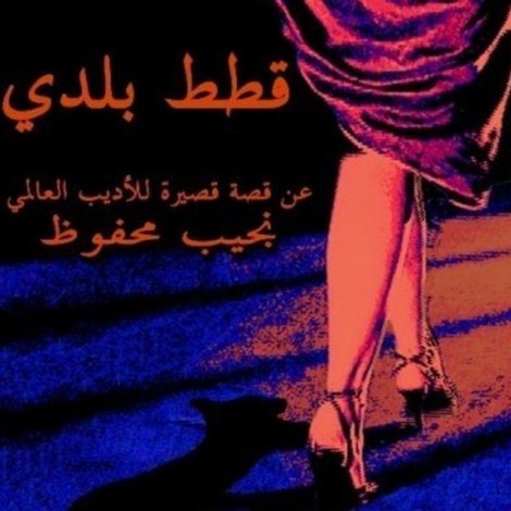 قطط بلدي