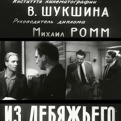 Из Лебяжьего сообщают