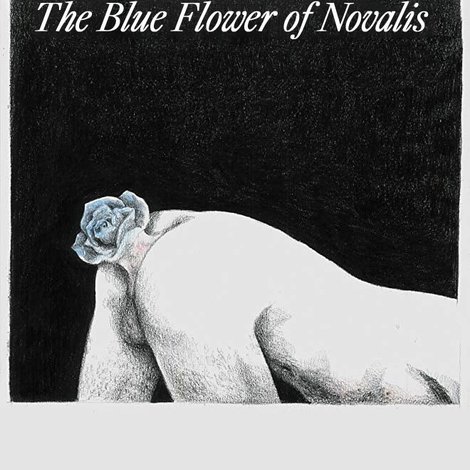 A Rosa Azul de Novalis