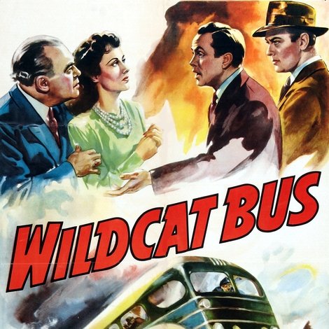 Wildcat Bus