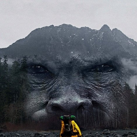 Hunting Bigfoot