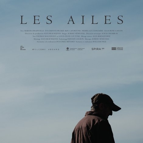 Les ailes