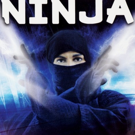 The Last Ninja