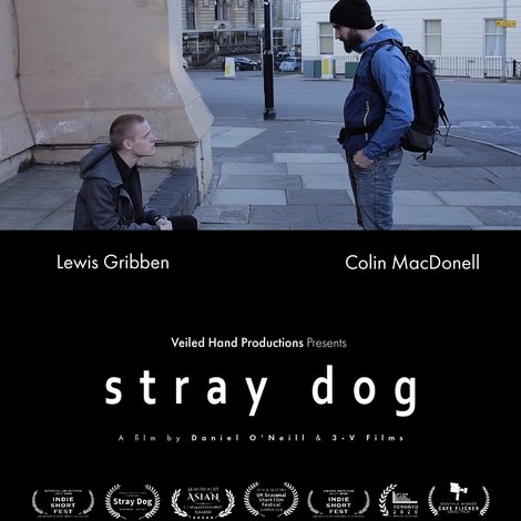 Stray Dog