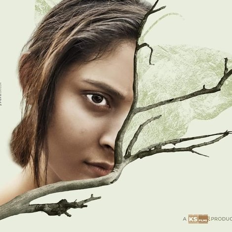 তিথিডোর