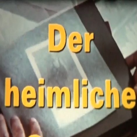 Der heimliche Garten