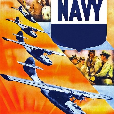 Wings of the Navy