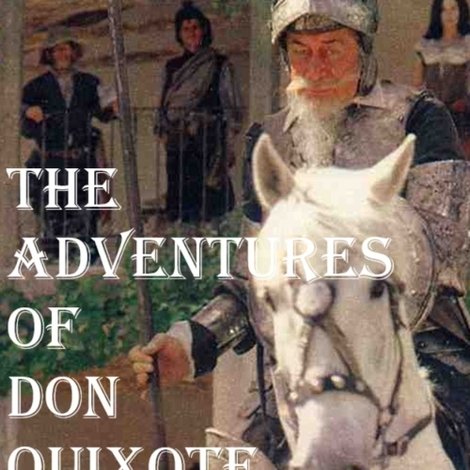 The Adventures Of Don Quixote