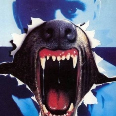 Mongrel