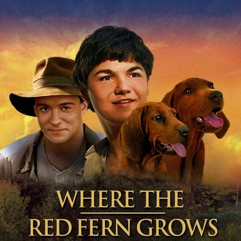 Where the Red Fern Grows