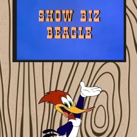 Show Biz Beagle