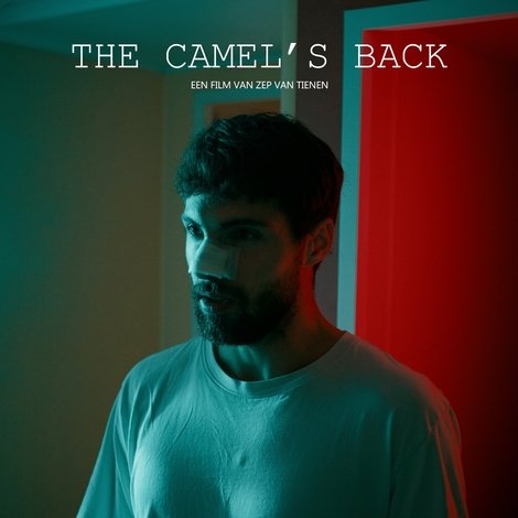 The Camel's Back