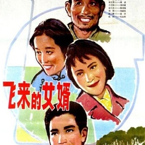 飞来的女婿
