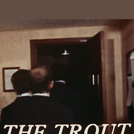 The Trout
