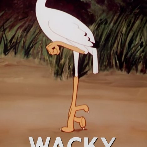 Wacky Wildlife
