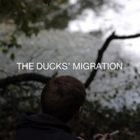 The Ducks' Migration