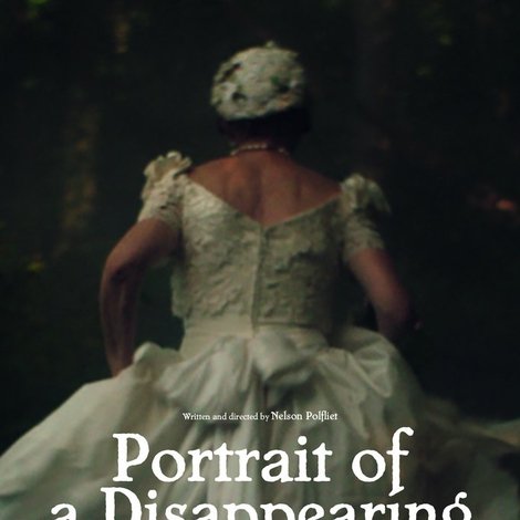 Portrait of a Disappearing Woman