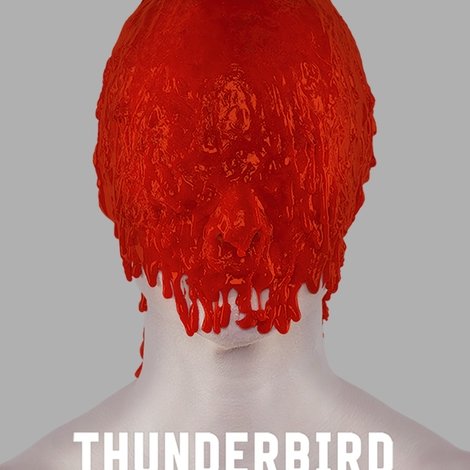Thunderbird