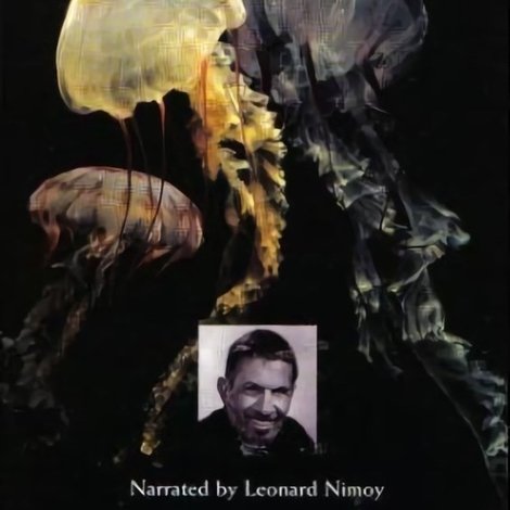 Jellies & Other Ocean Drifters