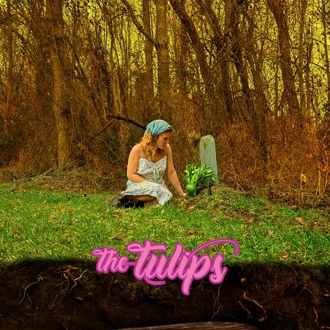 The Tulips