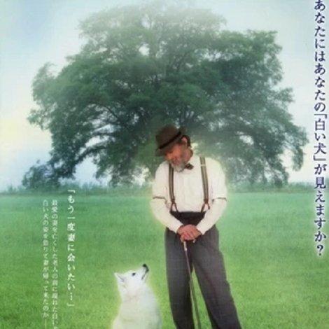 白い犬とワルツを