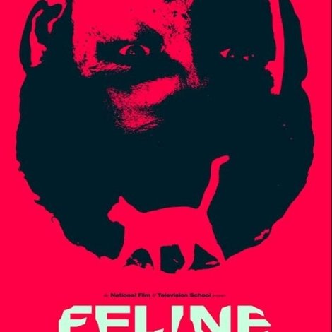 Feline