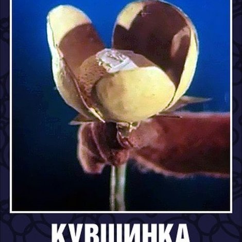 Кувшинка