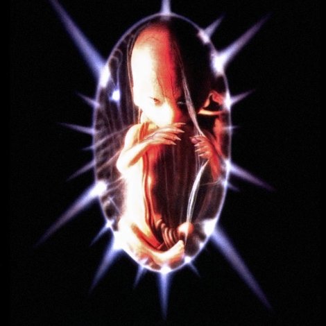 The Unborn
