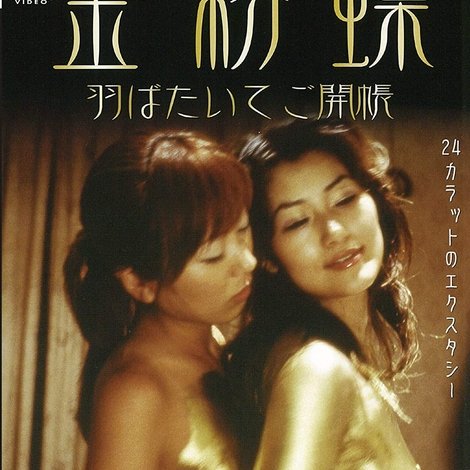 金粉蝶~羽ばたいてご開帳~