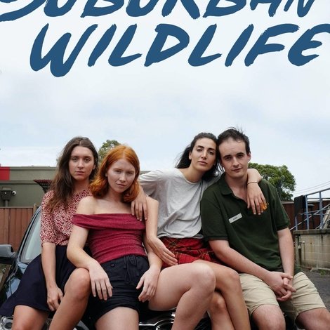 Suburban Wildlife