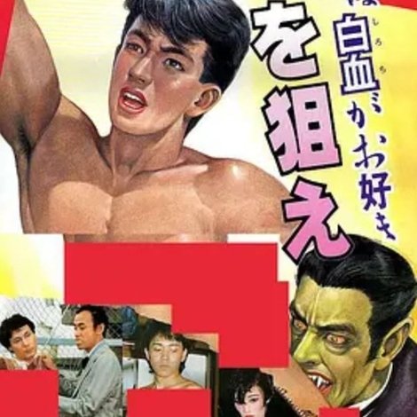 HOMOキュラ in ゾロ目を狙え!