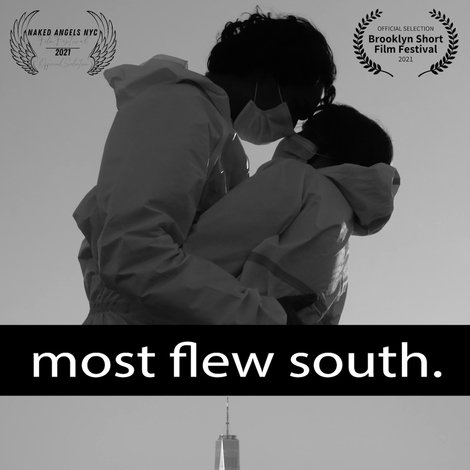 Most Flew South