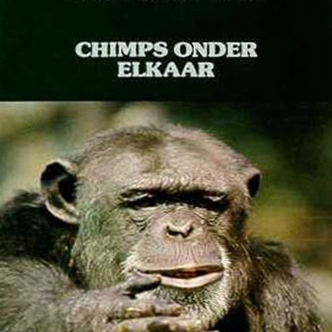 Chimps Onder Elkaar