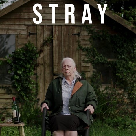 Stray