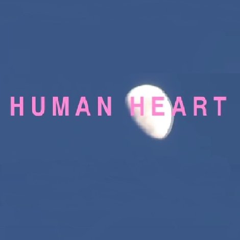 HUMAN HEART