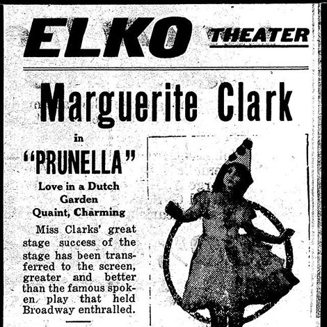 Prunella