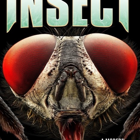 Insect
