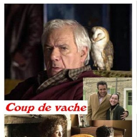 Coup de vache
