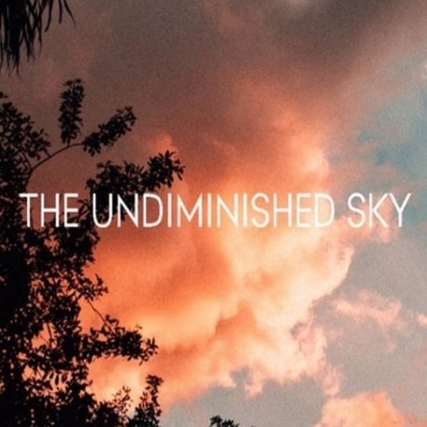 The Undiminished Sky