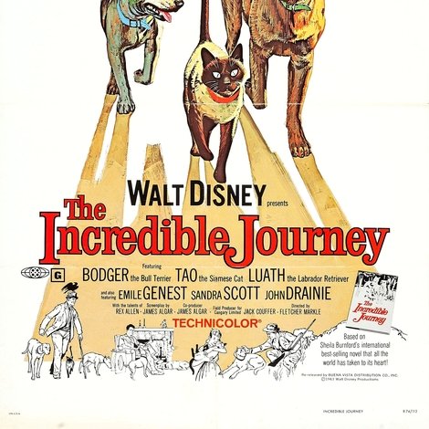 The Incredible Journey