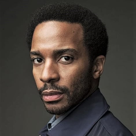 André Holland's profile