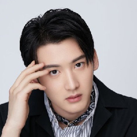 Chen Pengwanli