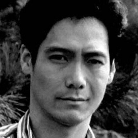 Lei Zhenyu