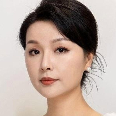 Zhao Jing