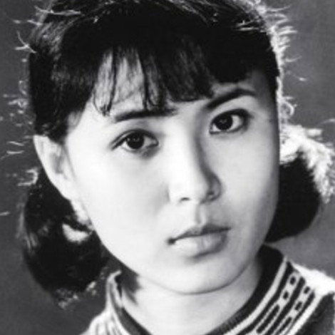 Pu Chaoying
