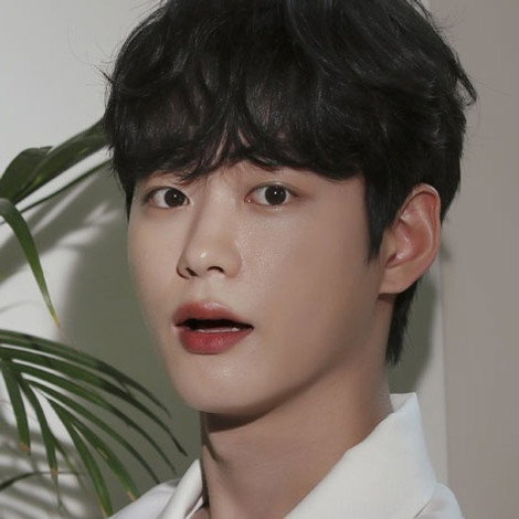 Han Se-jin