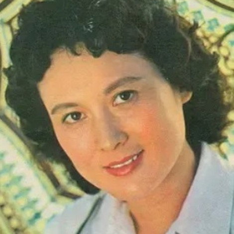 Xiang Mei